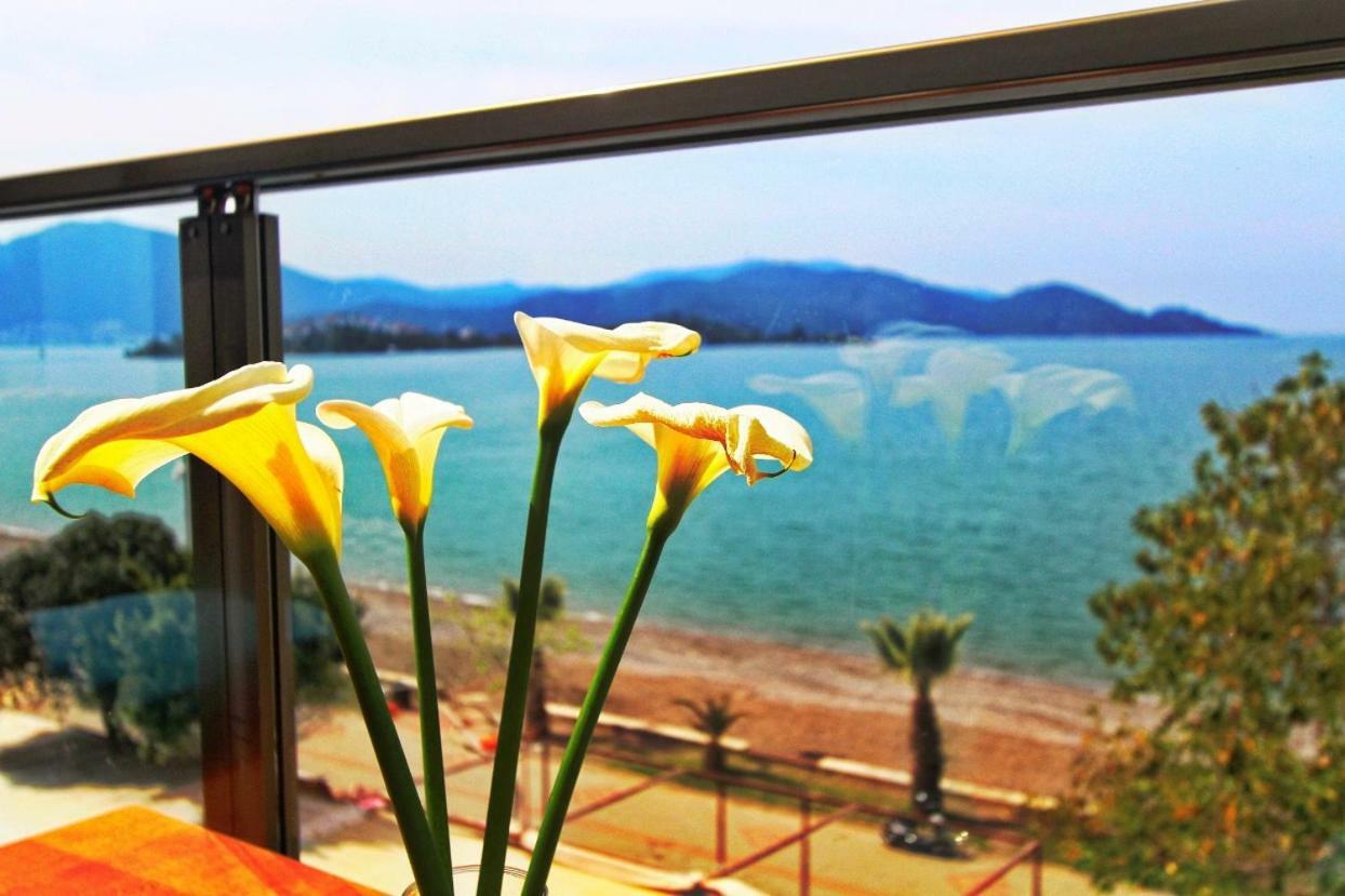 George'S Boutique Hotel Fethiye Exterior foto